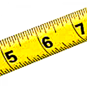 Prime Ruler Pro: measure and label