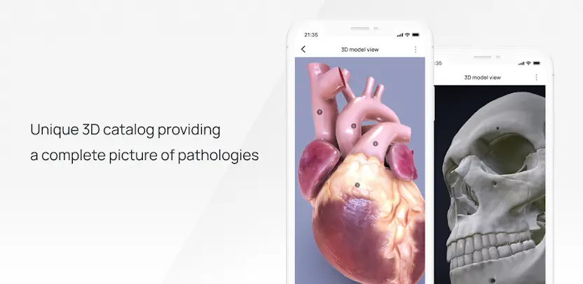 VOKA 3D Anatomy and Physiology